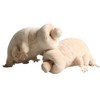 OUKEYI Tardigrade Plush Toy Water Bear Stuffed Animal,10 Inch/25cm Realistic