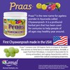 AyurBest Praas/Chyawanprash - 100% USDA Certified Organic Herbal Jam, 14
