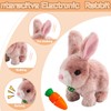 Bouncing Rabbit, Bouncing Rabbit Toy, Talking Rabbit, Rabbit Cuddly Toy,