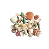 DOITOOL 1pack Natural Shell Conch Fish Tank Landscaping DIY Craft