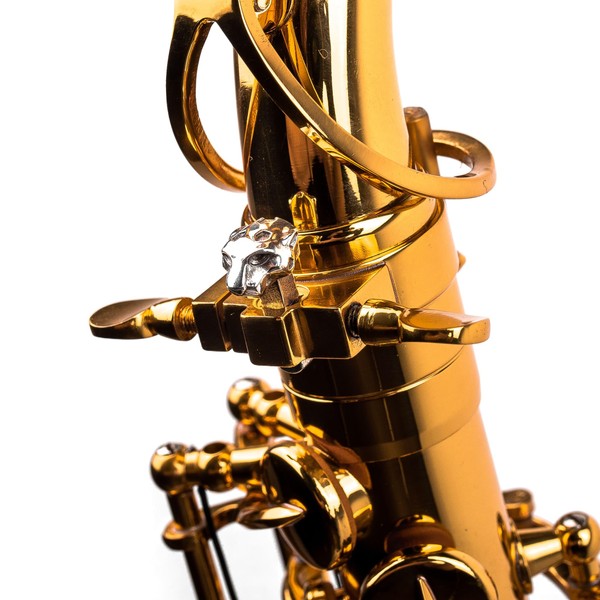Sax Sound Booster for Alto Tenor Soparno Baritone – Custom