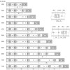Sotech KV2-45-H45-L300-SE Full Extension Slides 300 mm Self-Closing, 1 Pair