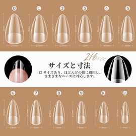 Modelones Nail Tip, Short Oval, Sanded Nail Tip, Short, Full Cover, Plain Tip, Clear Tip, Practice, Commercial Use, Self Gel Nail 01