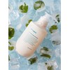 Stay Fresh Cooling Shampoo 500ml (Scalp Care) / 스테이 프레시