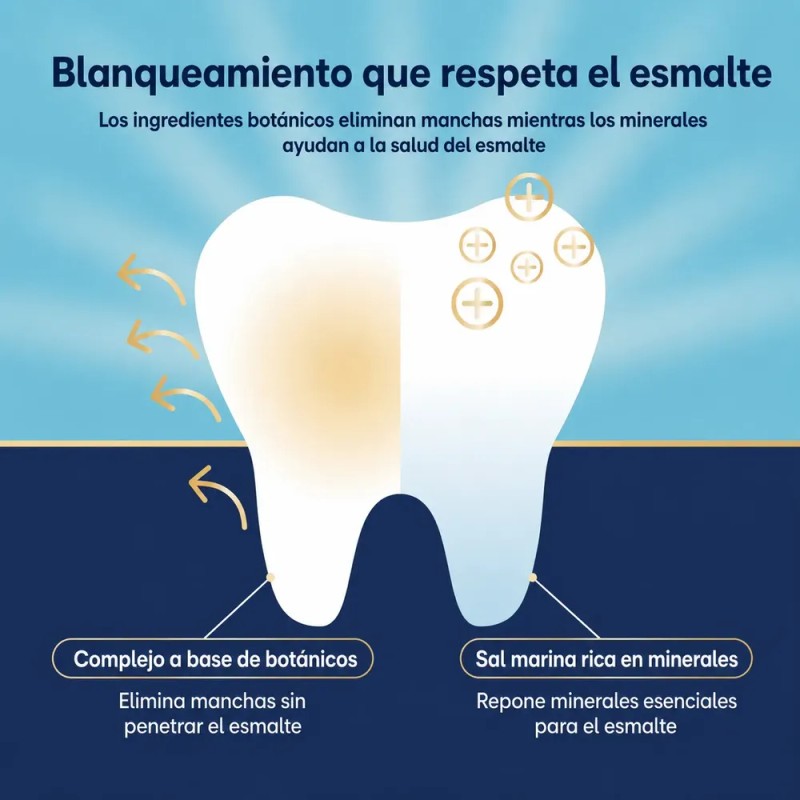 Tiras Blanqueadoras Dientes Lumineux Sin Peróxido 7 Tratami