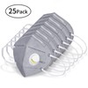 VIPITH Disposable Dust Mask with Filter and Activated Carbon, Adjustable