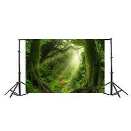 Laeacco Tropical Jungle Photography Background 10x6.5ft Wet Fog Forest Trees Hole with Sunlight Rainy Moss Path Green Trees Old Tree Landscape Photo Backdrops Studio Photographic Props