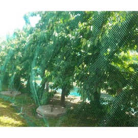 13Ft x 33Ft Anti Bird Protection Mesh Garden Netting Seedlings   Fruit Trees Vegetables from Rodents   Fencing, Green - Color: Green
