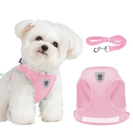 DOINEUFL Puppy Harness, Dog Harness and Leash Set, Soft Mesh Reflective Breathable Lightweight Vest-Style Dog Harnesses with Safety Buckle for Small and Medium Dogs, Cats, Puppies (Pink, M)