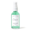 Oasis Earth Harbor OASIS Deep Pore Gel Cleanser, Oil-Free Non-Stripping