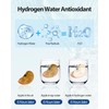Hydrogen Water Bottle 3300+ PPB, 460ML/16.23OZ Rapid Hydrogen Water Generator
