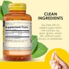Mason Natural Aceite de Menta | Comodidad Gastrointestinal Natural |