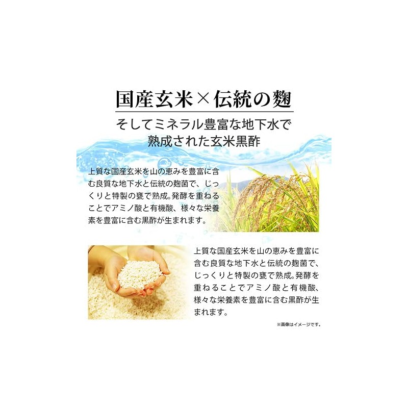 極・すっぽん黒酢粒 90粒 スッポン すっぽん サプリメント 黒酢 黒にんにく 黒ニンニク アミノ酸 クエン酸