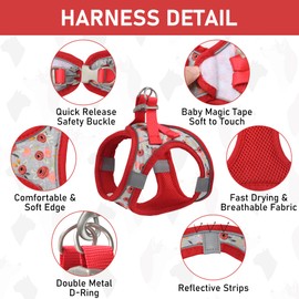 GAMUDA Small Dog Harness Collar and Leash Set, Step in No Chock No Pull Soft Mesh Adjustable Dog Vest Harnesses Plaid Reflective for Dogs Puppy Cats Kitten Rabbit (Red Flower, S)
