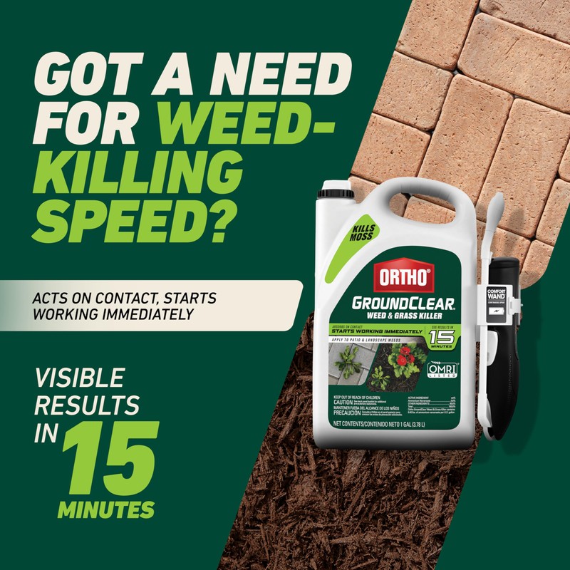 Ortho GroundClear Weed and Grass Killer with Comfort Wand, Kills