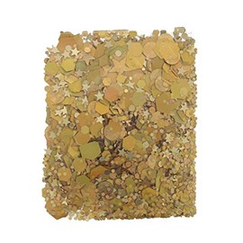 Zac's Alter Ego Assorted Design Glitter for Skin, HairNails, Festival Body Art