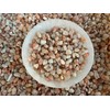 GAF TREASURES Wholesale Natural Semi Tumbled Sunstone Gemstone Chips, Crushed