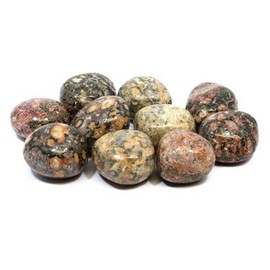 CrystalAge Leopard Skin Jasper Tumble Stone (20-25mm) - Pack of 10