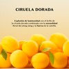 O Boticário Nativa Spa Golden Plum Radiant Body Lotion 400ml