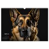 Hunde Porträts (Wandkalender 2026 DIN A3 quer), CALVENDO Monatskalender
