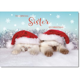 doodlecards Sister Christmas Card Two Cats with Santa Hats Medium Size Christmas Card for Sister with Plain Envelope