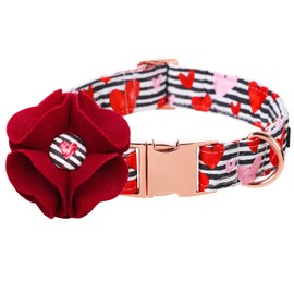 Lionet Paws Valentine's Dog Collar with Felt Flower, Dog Flower Collar with Metal Buckle for Dogs and Cats, Adjustable Comfortable Dogs Collars Girl, XS, Neck 8-12 in