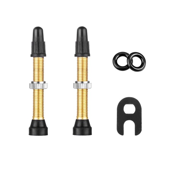 HZJD 2PCS Tubeless Valves, Quality Brass Tubeless Valve Stem(40 mm),