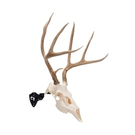 Allen Company EZ Mount Adjustable Steel Skull Stand, Black