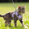 Brifit Cat Harness with Lead, Escape Proof, Cat Lead with