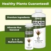 TPS NUTRIENTS Dracaena Fertilizer for All Dracaena Plants and Trees,