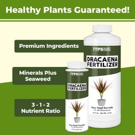 TPS NUTRIENTS Dracaena Fertilizer for All Dracaena Plants and Trees, Liquid Plant Food 8 oz (250mL)