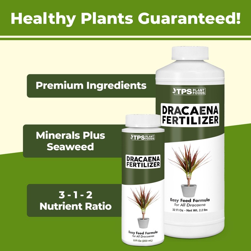 TPS NUTRIENTS Dracaena Fertilizer for All Dracaena Plants and Trees,