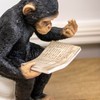 Darthome Cheeky Monkey On Toilet Ornament 15x20x12cm Resin Up Yours