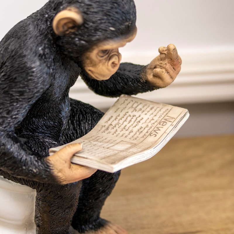 Darthome Cheeky Monkey On Toilet Ornament 15x20x12cm Resin Up Yours