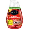 Renuzit LongLast Adjustable Air Freshener