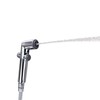 Brondell CS-30 CleanSpa Hand Held Bidet, Chrome