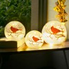 Kaowod Crackle Glass Ball Cardinal Lamp with Timer, Light Up