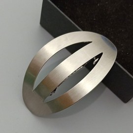 2pcs Oval Shape Hair Pins, Metal Wire Drawing Hairpin Minimalist design Hair Barrette Clips Strong Hold Hair Accessories for Women (Silver)