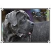Petsigns Dog Sign Cane Corso – Beautiful Warning Sign –