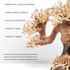 Ultum Nature Systems Bonsai - Handcrafted Hardscape Driftwood for Aquarium,