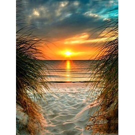 SYMON Cross Stitch Set, Pre-Printed, Sunset by the Sea, 11 CT Cross Stitch Embroidery Packs, Embroidery Pictures, Pre-Printed Cross Stitch for Wall Art, Home Decoration, 40 × 50 cm