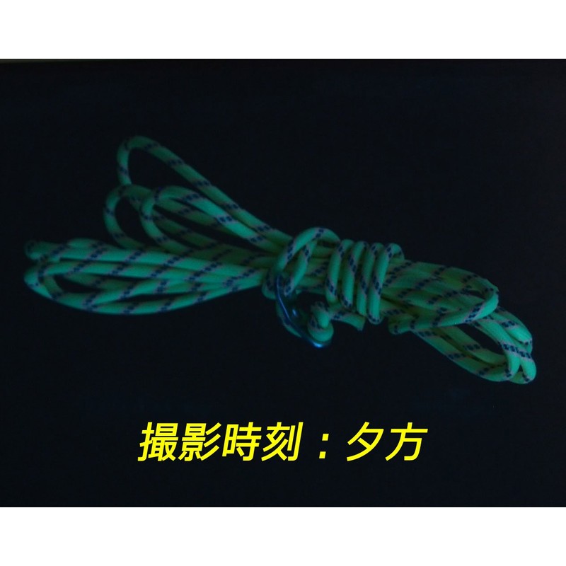 which has come (Ellisse) Luminous + Reflective gairo-pu (Tent Rope)