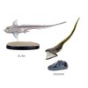 Carolata 3D Illustration Book, Deep Sea Fish Figure, 7 Types