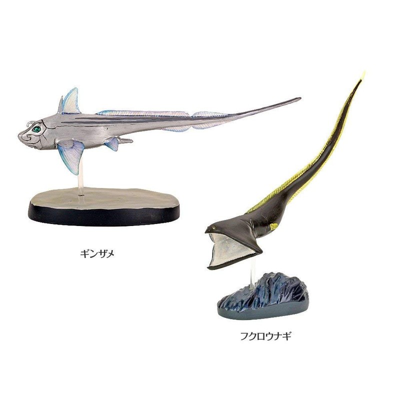 Carolata 3D Illustration Book, Deep Sea Fish Figure, 7 Types