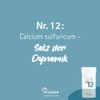 PFLÜGER Schüßler Salts No. 12 Calcium Sulfuricum D6 - 400
