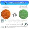 Wisesorb 2lbs Premium Orange Silica Gel Desiccant Beads(Industry Standard 2-4