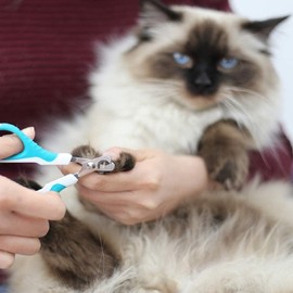 Blackhole Cat Nail Clippers Innovative 150 Degree Angled Clipping Head Design- Safe & Comfortable. Perfect Nail Clipper for a Small Dog, Cat, Bunny, Rabbit, Bird, Puppy, Kitten, Ferret.