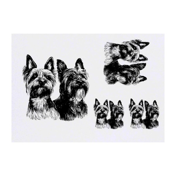 4 x 'Two Yorkshire Terriers Portrait' Temporary Tattoos - Water