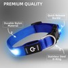PetIsay Light up Dog Collar - High Visibility & Durable