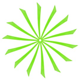 YELARXI Arrow Vanes Turkey Archery Arrows Feathers Fletching, 6 Inch Left Wing Fit for Hunting Target Shooting (20Pcs, Neon Green)